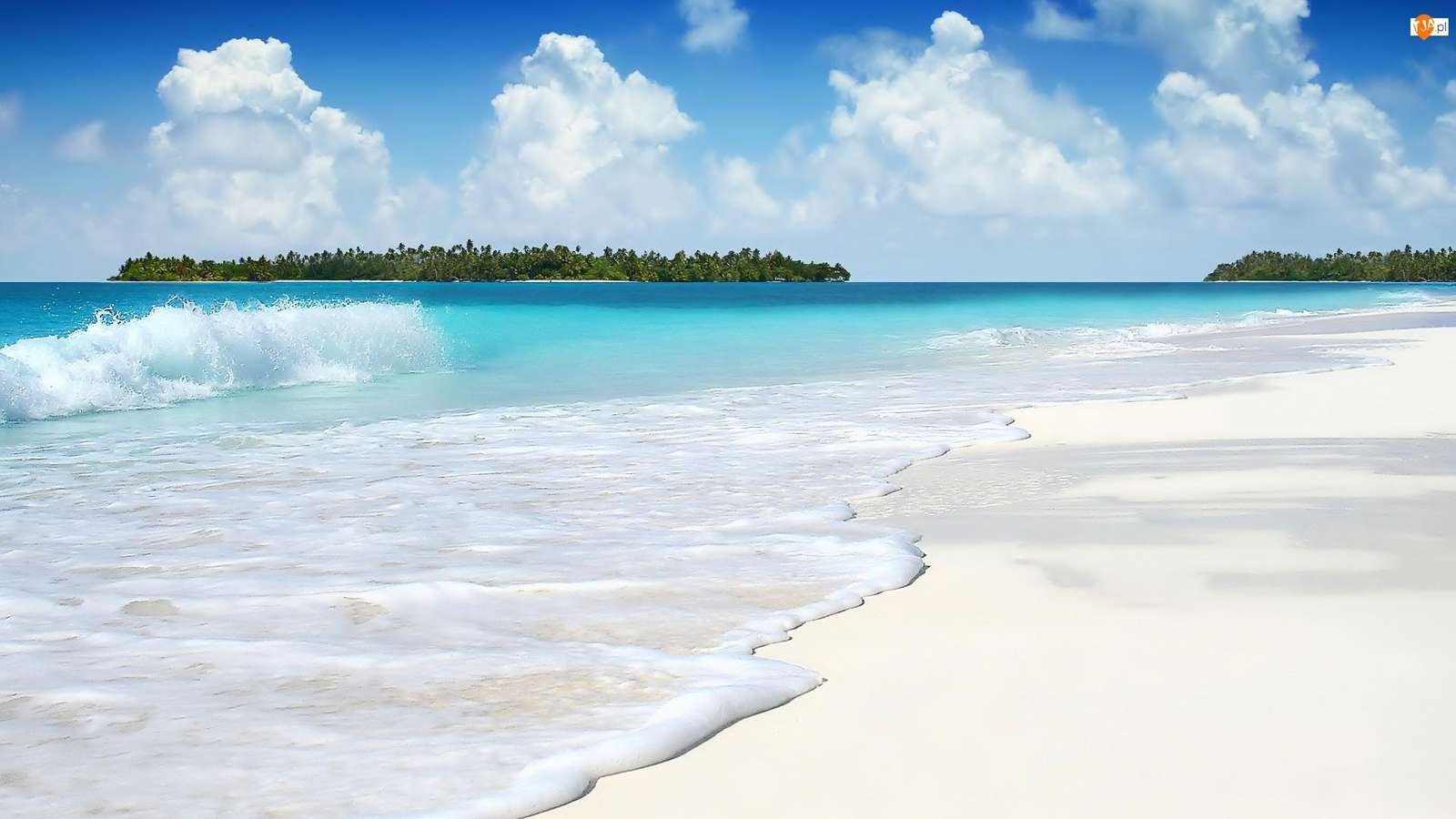 plaża w tropikach puzzle online