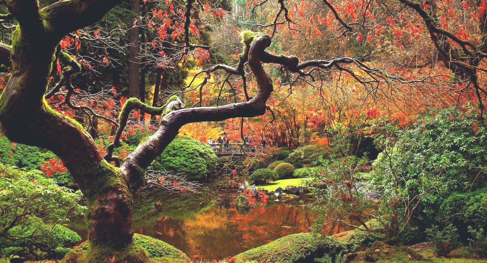 forêt d'automne puzzle