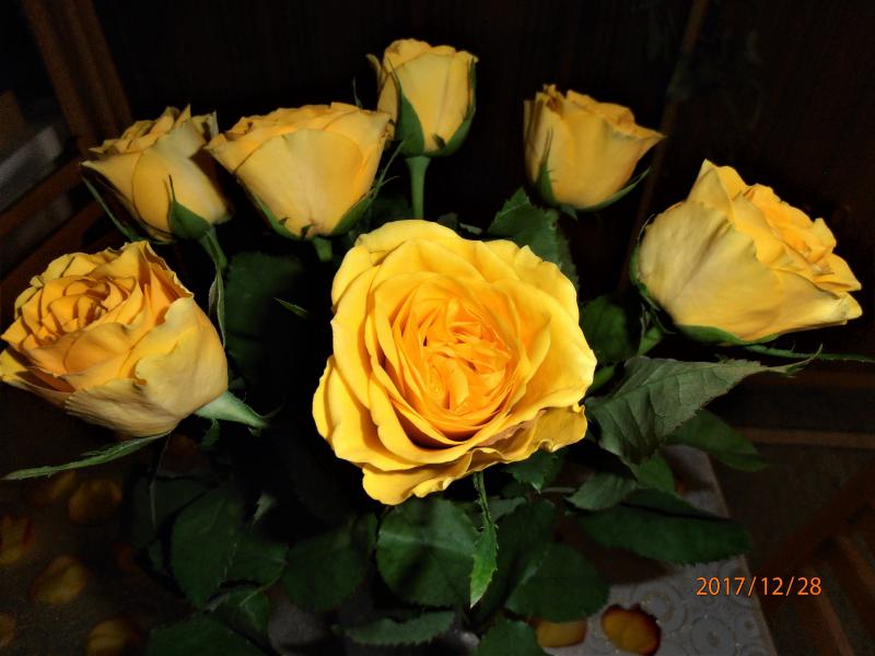 żółte róże puzzle online