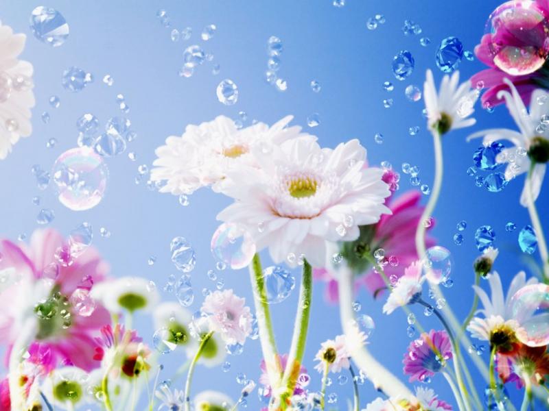 kwiaty i wiosna puzzle online