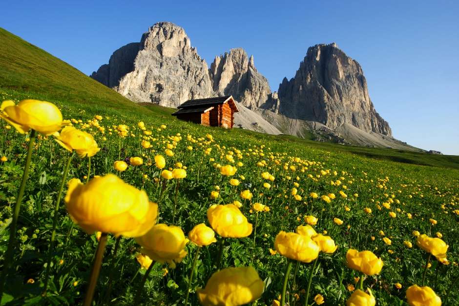 Весна в Доломитовых Альпах - Италия пазл