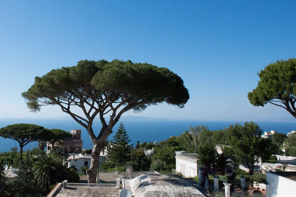 Na wyspie Capri - Włochy puzzle online