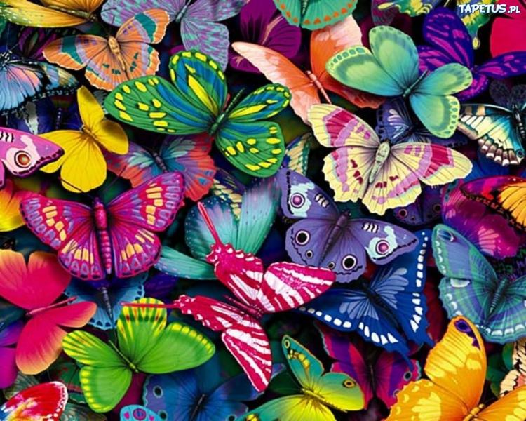 Kolorowe motylki puzzle online