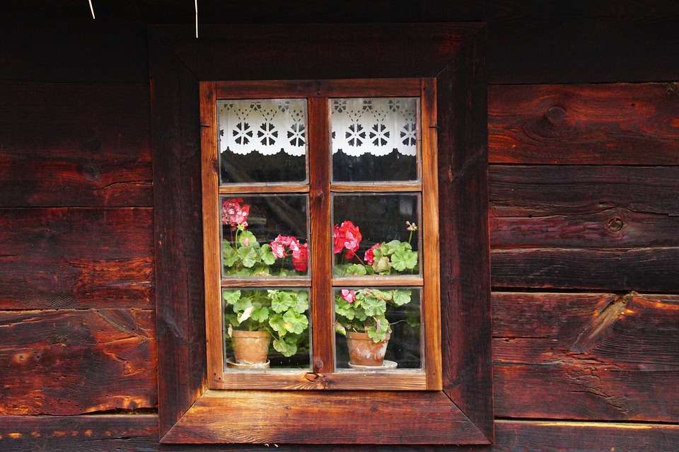 Pelargonie w oknie. puzzle online