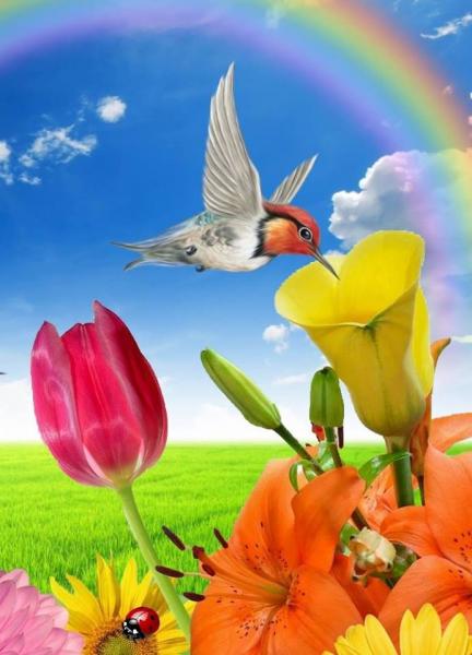kolorowe tulipanki dwa puzzle online