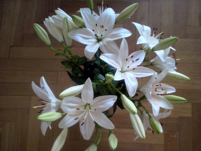 Piękne białe lilie puzzle online