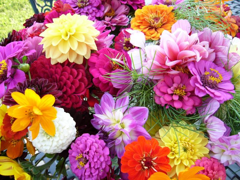 Kolorowe kwiatuszki. puzzle online