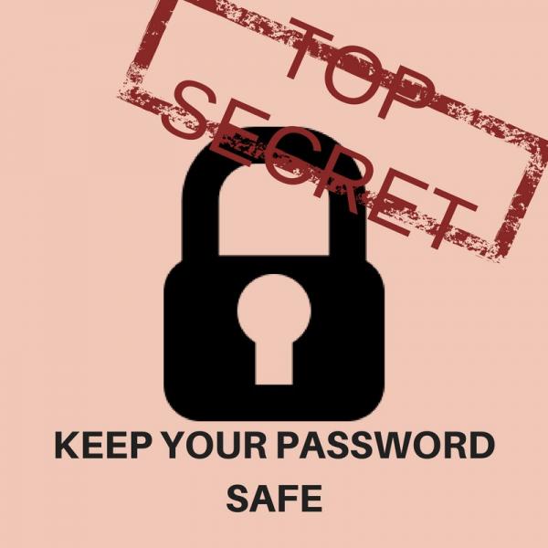 Keep your password safe puzzle online