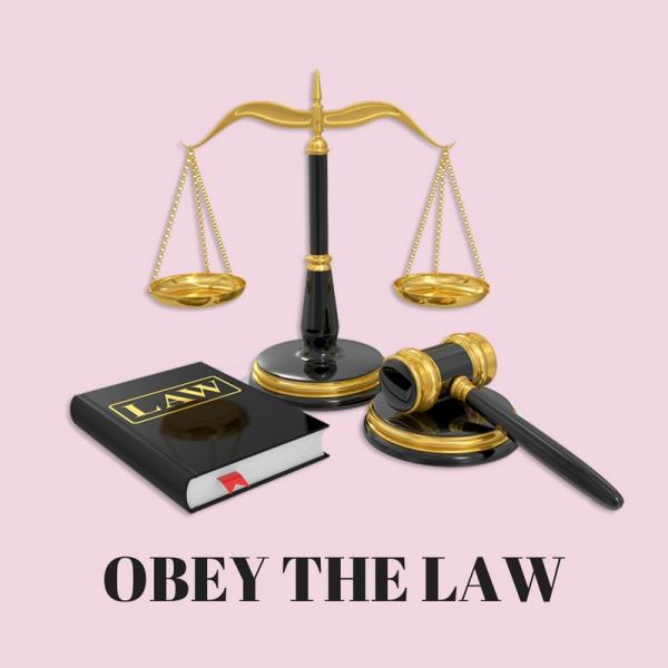 Obey the law puzzle online