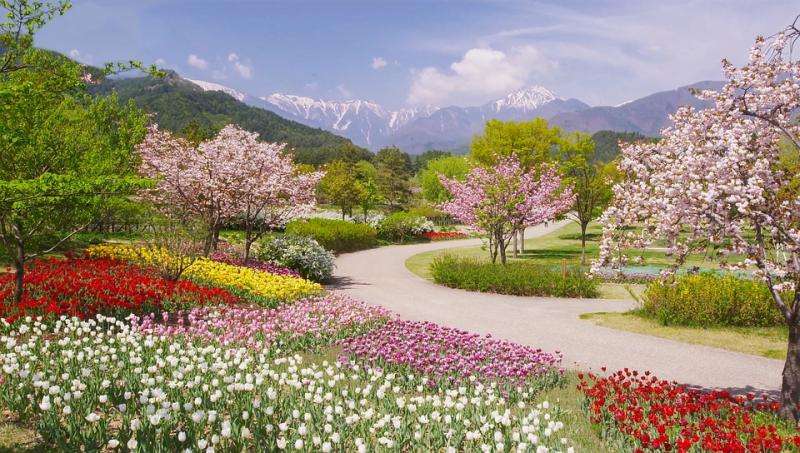 Wiosenny park w Alpach. puzzle online