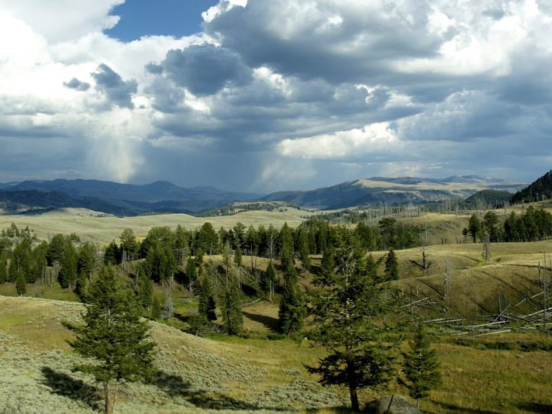 Park Narodowy Yellowstone. puzzle online