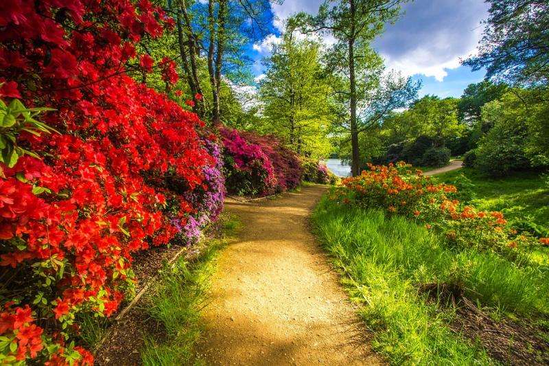 Kolorowy park w Anglii. puzzle online