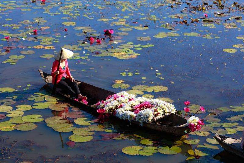 Wietnam. Łódka z kwiatami. puzzle online