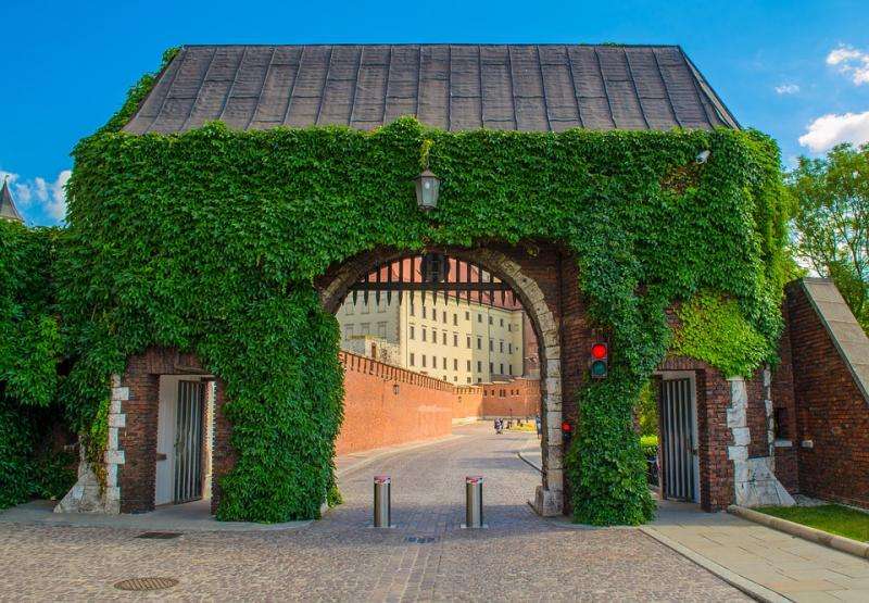 Brama na Wawel. puzzle online