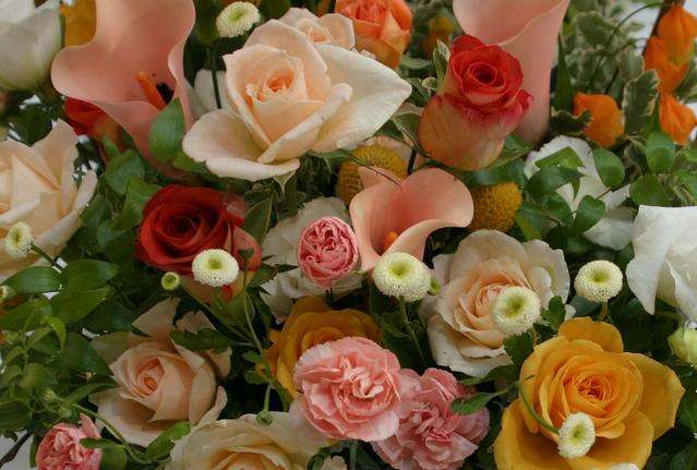 Kwiatuszki, róża herbaciana puzzle online
