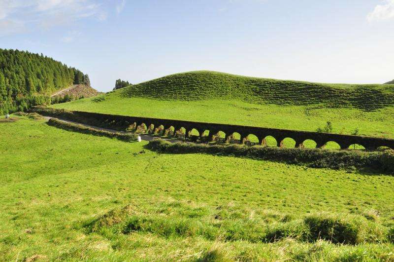 ZIelone pastwiska na Azorach. puzzle online