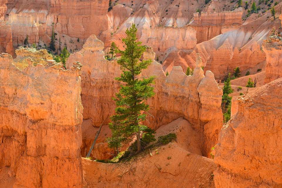 Bryce Canyon. USA. puzzle online