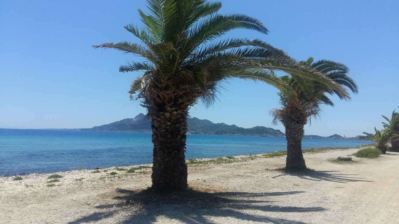 palmy na plaży puzzle online