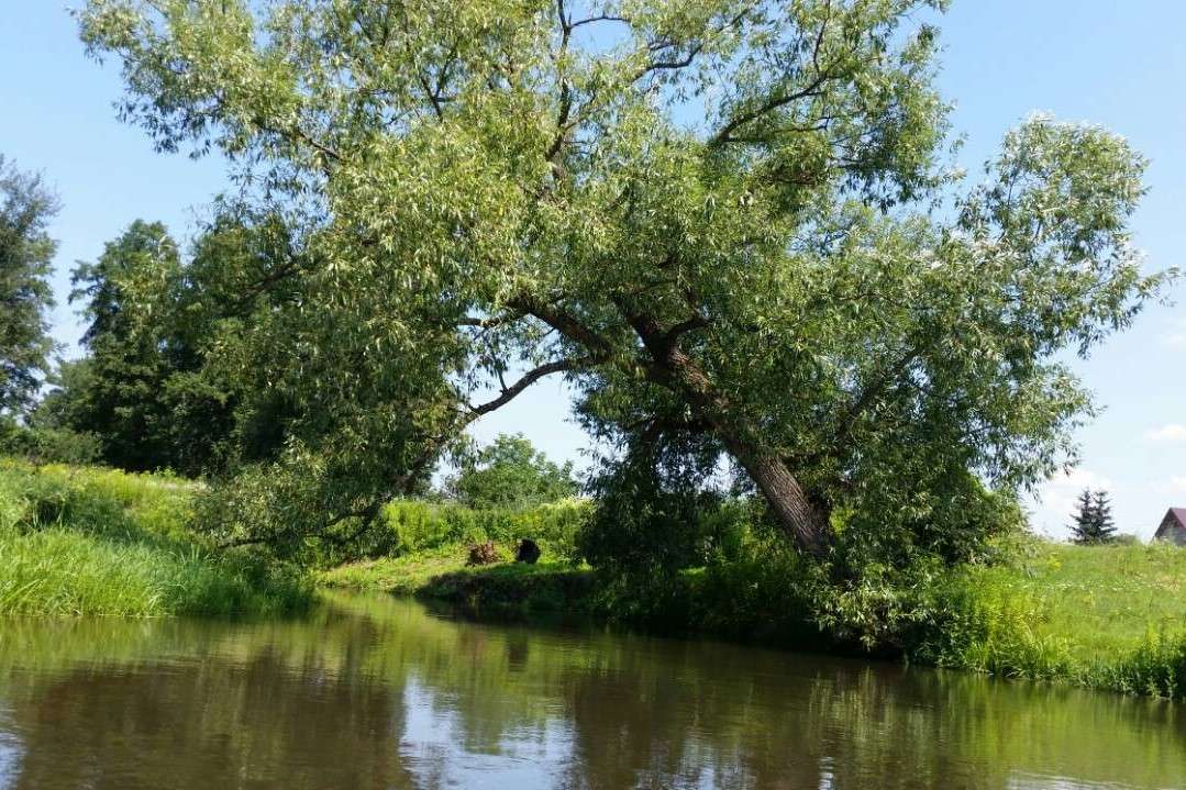 Lubaczówka rivier legpuzzel