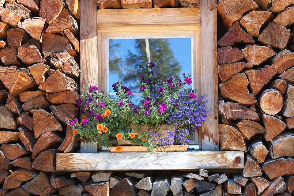 Kwiatki w okienku. puzzle online
