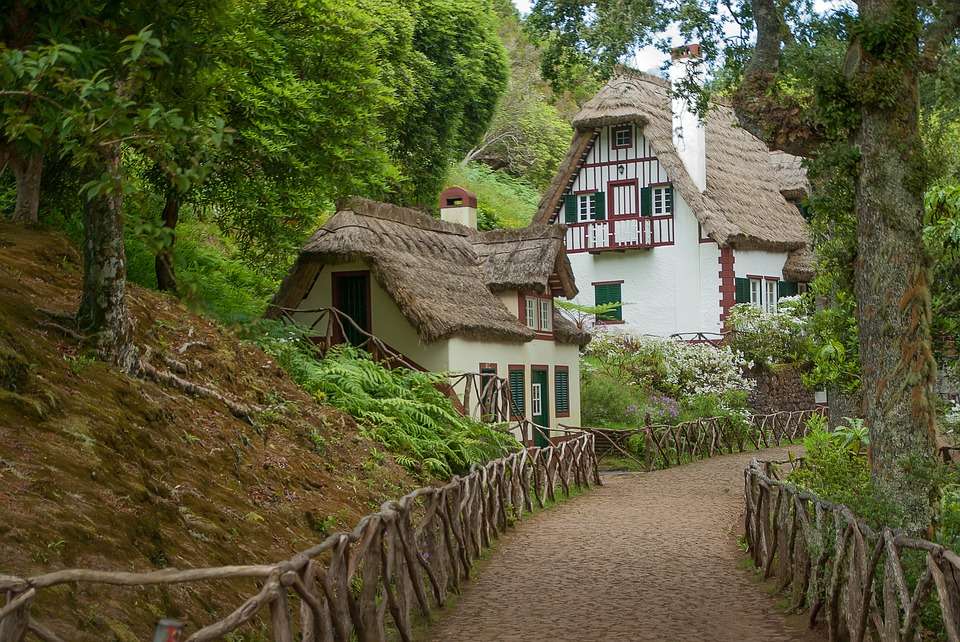 Domki w lesie na Maderze. puzzle online