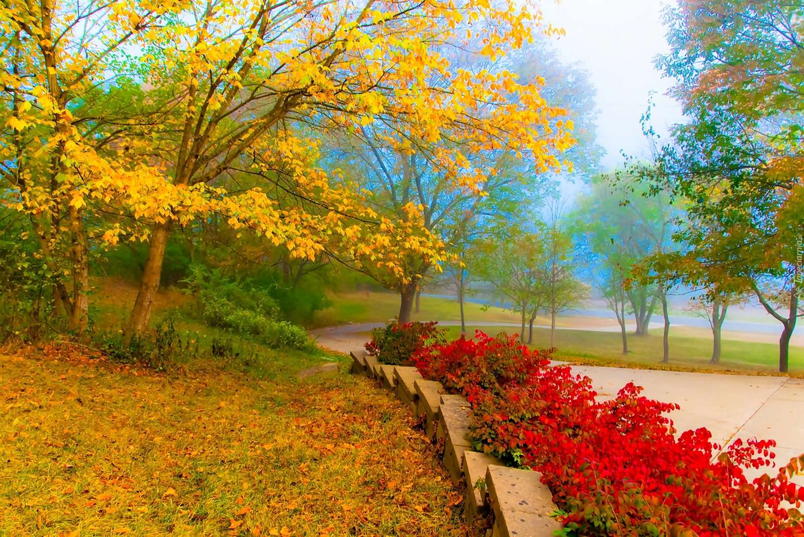 Есенни цветове. пъзел