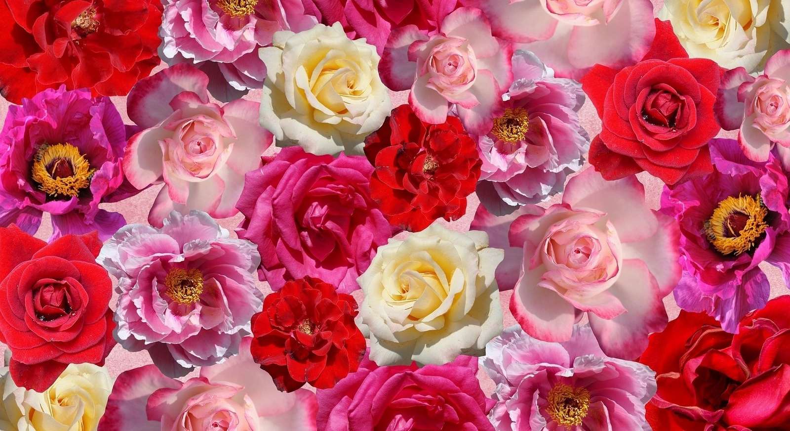 Kolorowe różyczki puzzle online