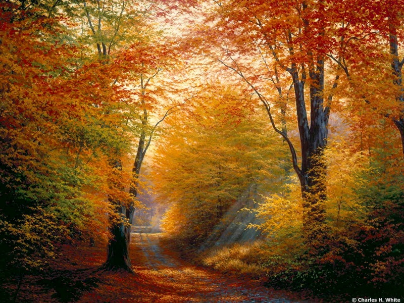 Barwy jesieni. puzzle online