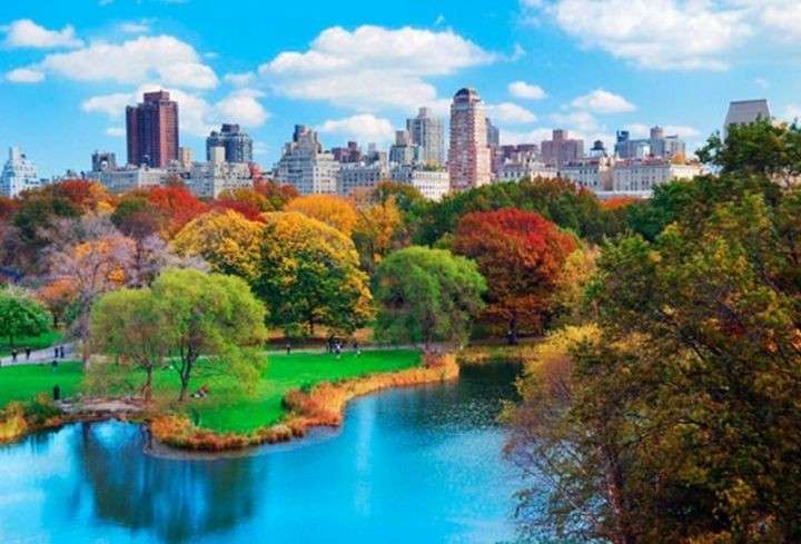 nowojorski central park puzzle online