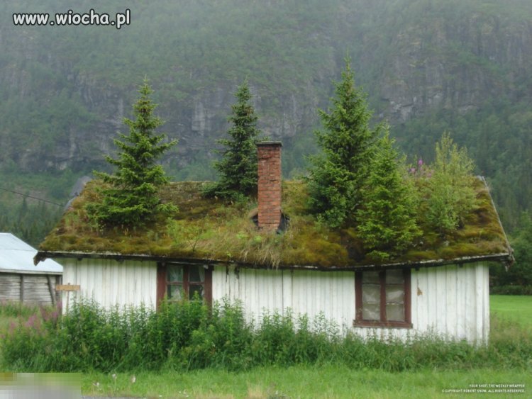 Dom w Norwegii. puzzle online