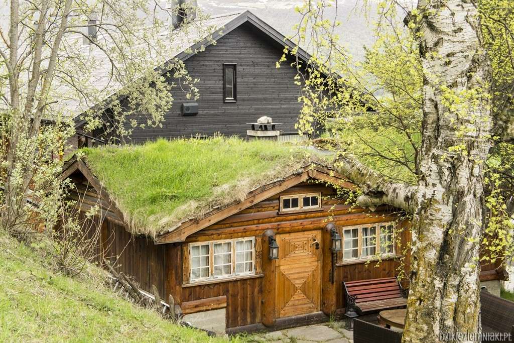 Domek w Norwegii. puzzle online