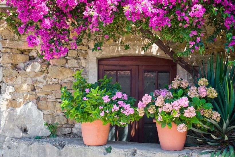 Flori în Creta. puzzle