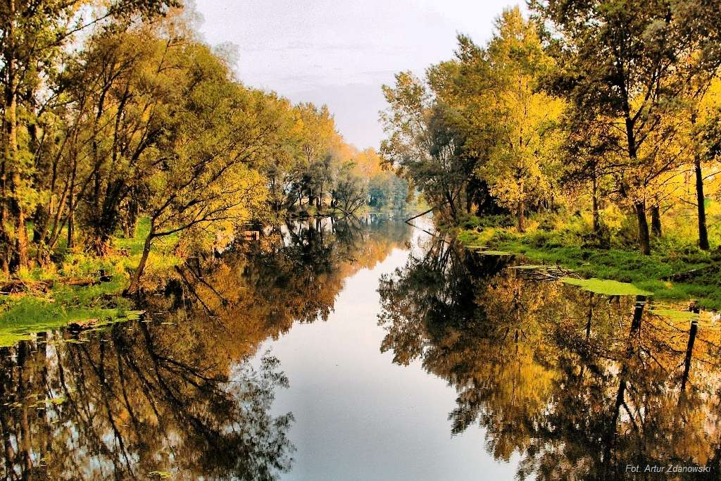 Rzeka Liwiec. puzzle online