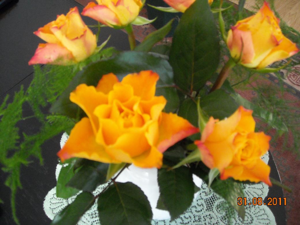 herbaciane róże puzzle online