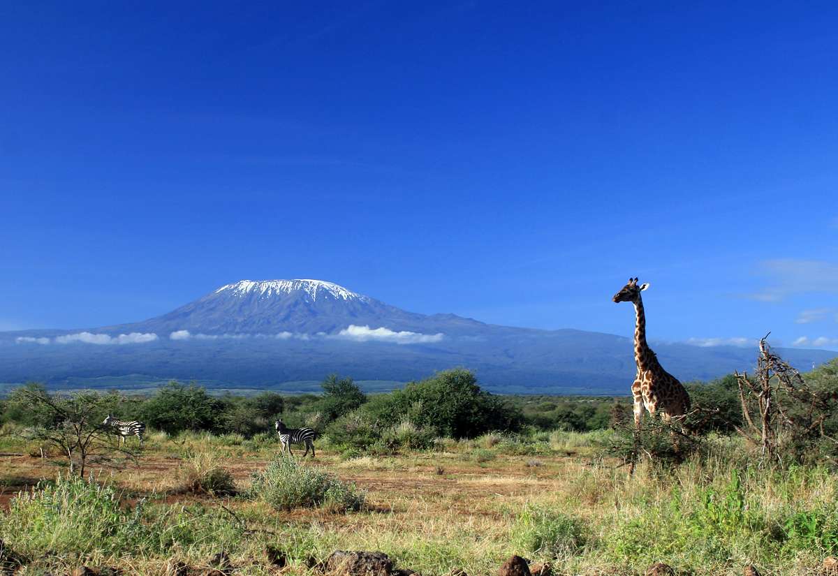 Kilimandzsáró hó. kirakós