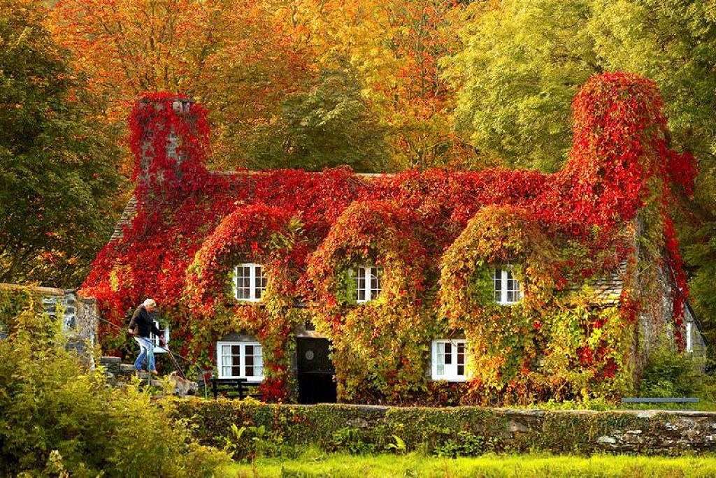 jesienny  krajobraz puzzle online