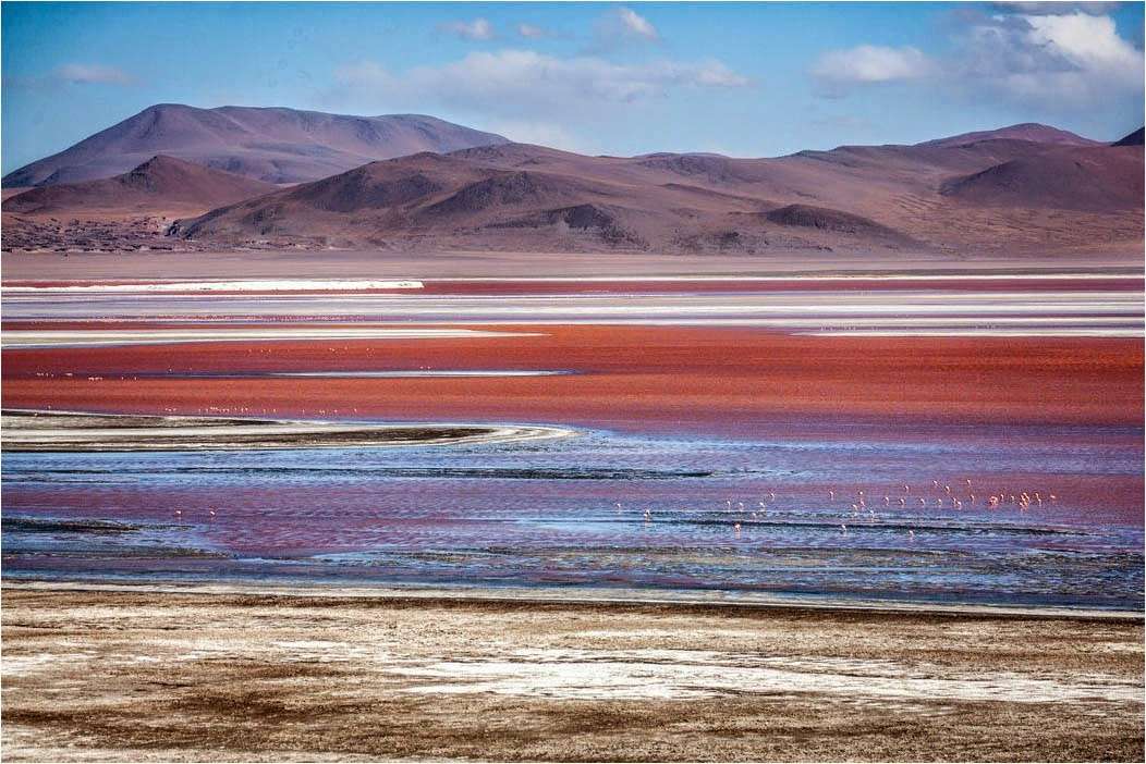 Laguna Colorada w Boliwii. puzzle online