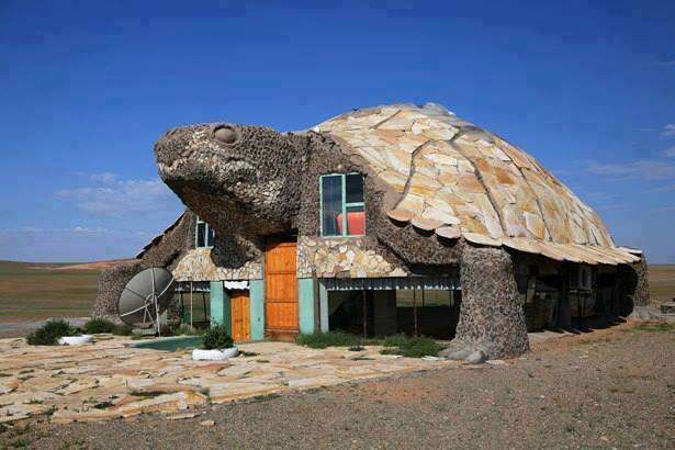 Dom żółw. puzzle online
