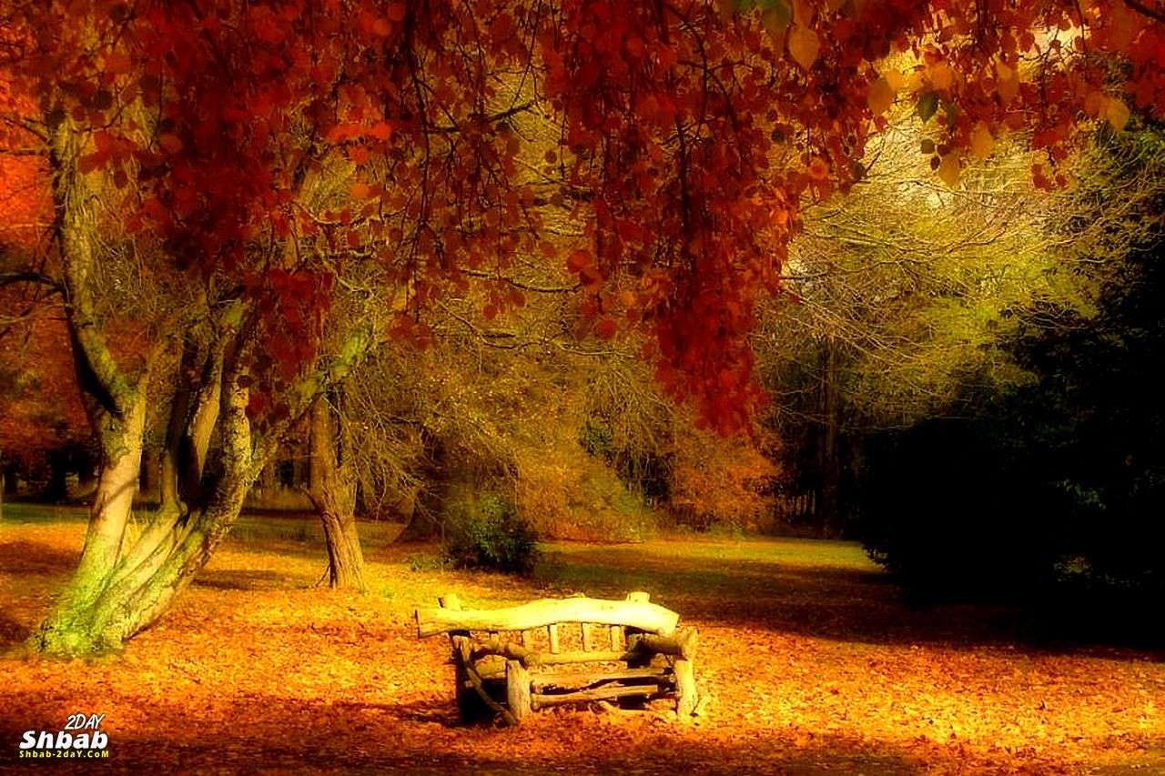 Jesień w parku. puzzle online