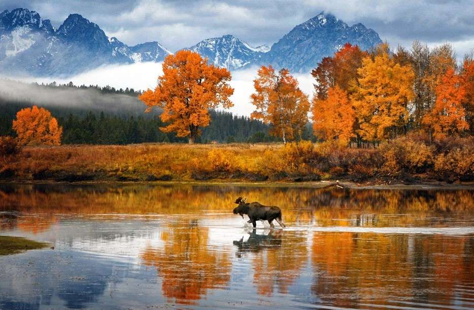 Wyoming. USA. puzzle online