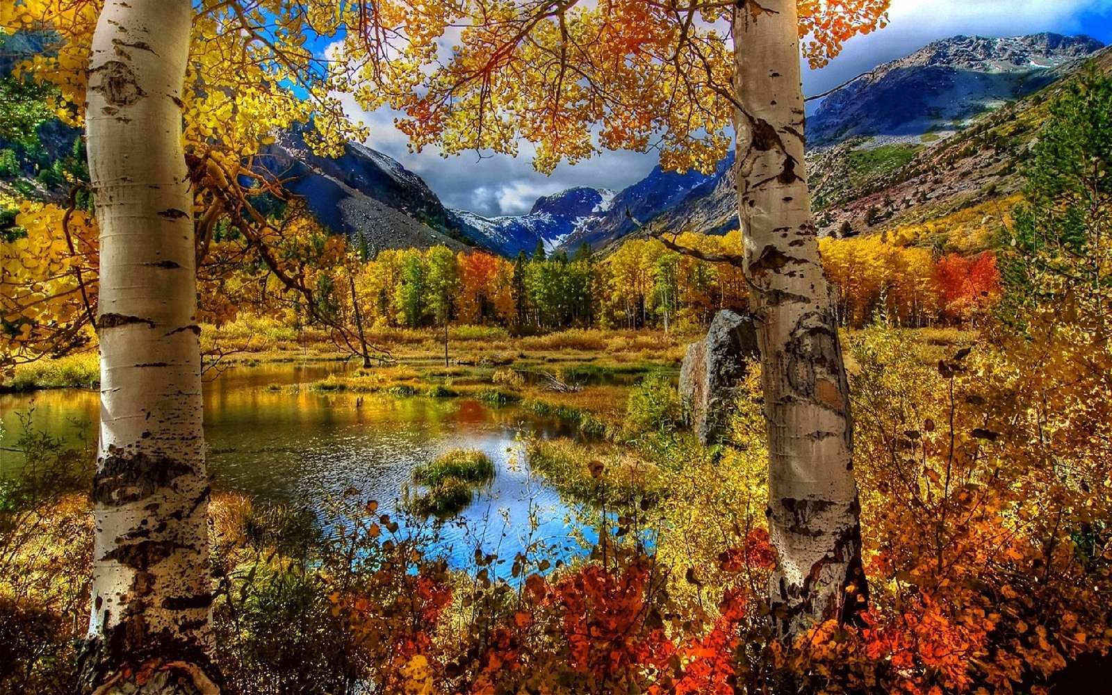 Jesienny krajobraz. puzzle online
