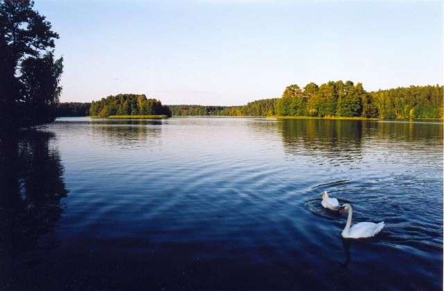 Jezioro Nidzkie na Mazurach. puzzle online