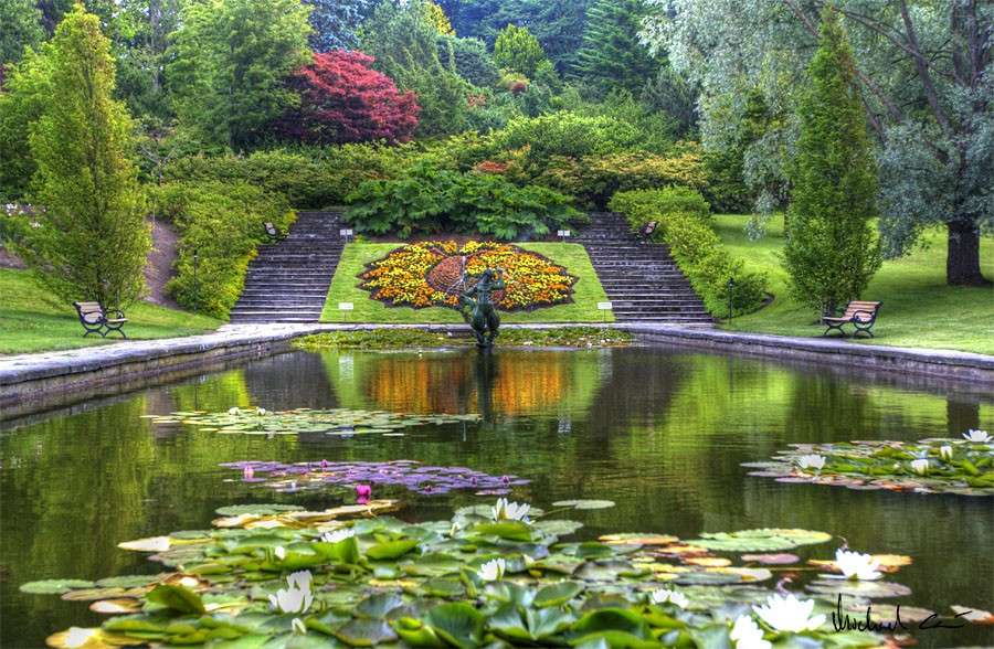 Ogród botaniczny w Goteborgu. puzzle online