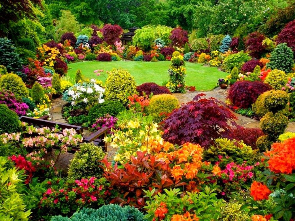 In a colorful garden. jigsaw puzzle