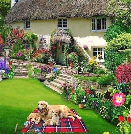 Piękny dom z ogródkiem puzzle online