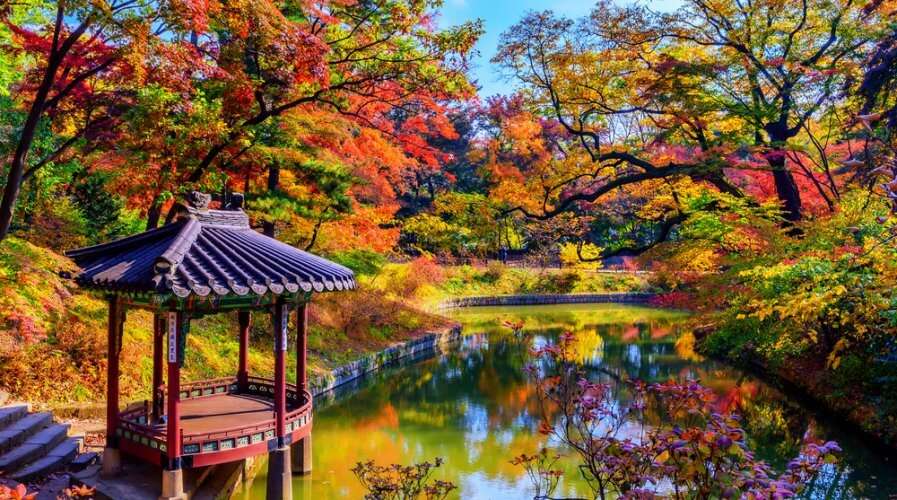 Jesienny krajobraz. puzzle online
