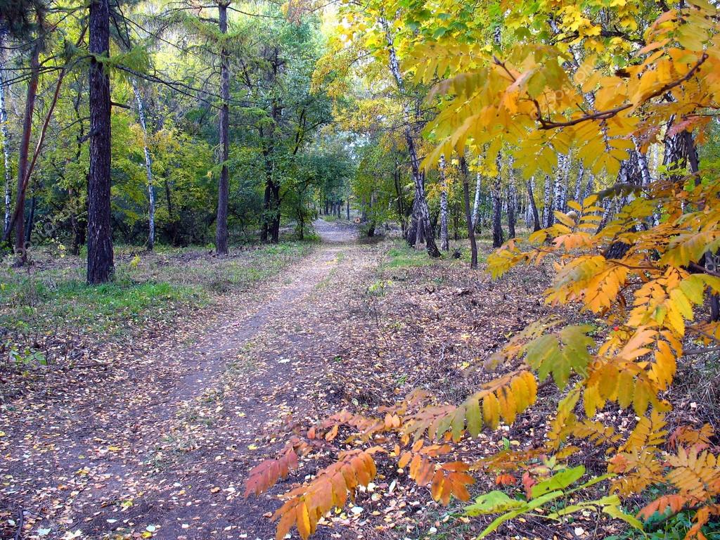 jesienny krajobraz puzzle online