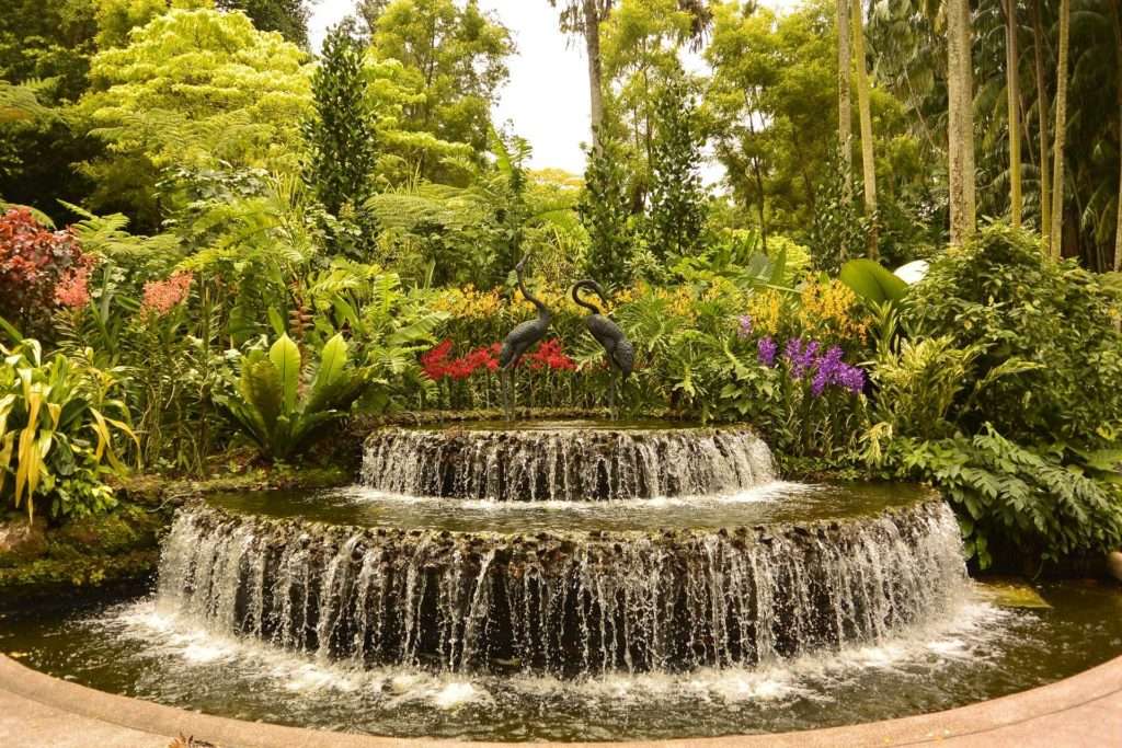 Singapur-Ogród Botaniczny puzzle online