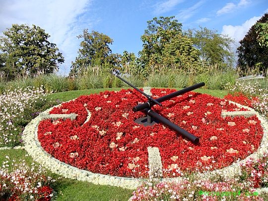 Zegar kwiatowy w Genewie. puzzle online
