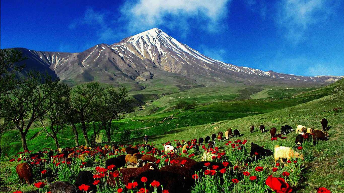 Widok na górę Ararat. puzzle online